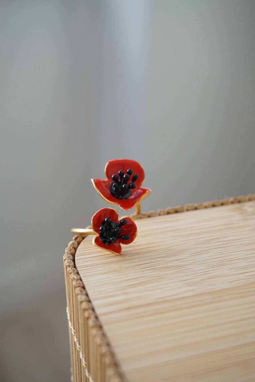 Anello Doppio