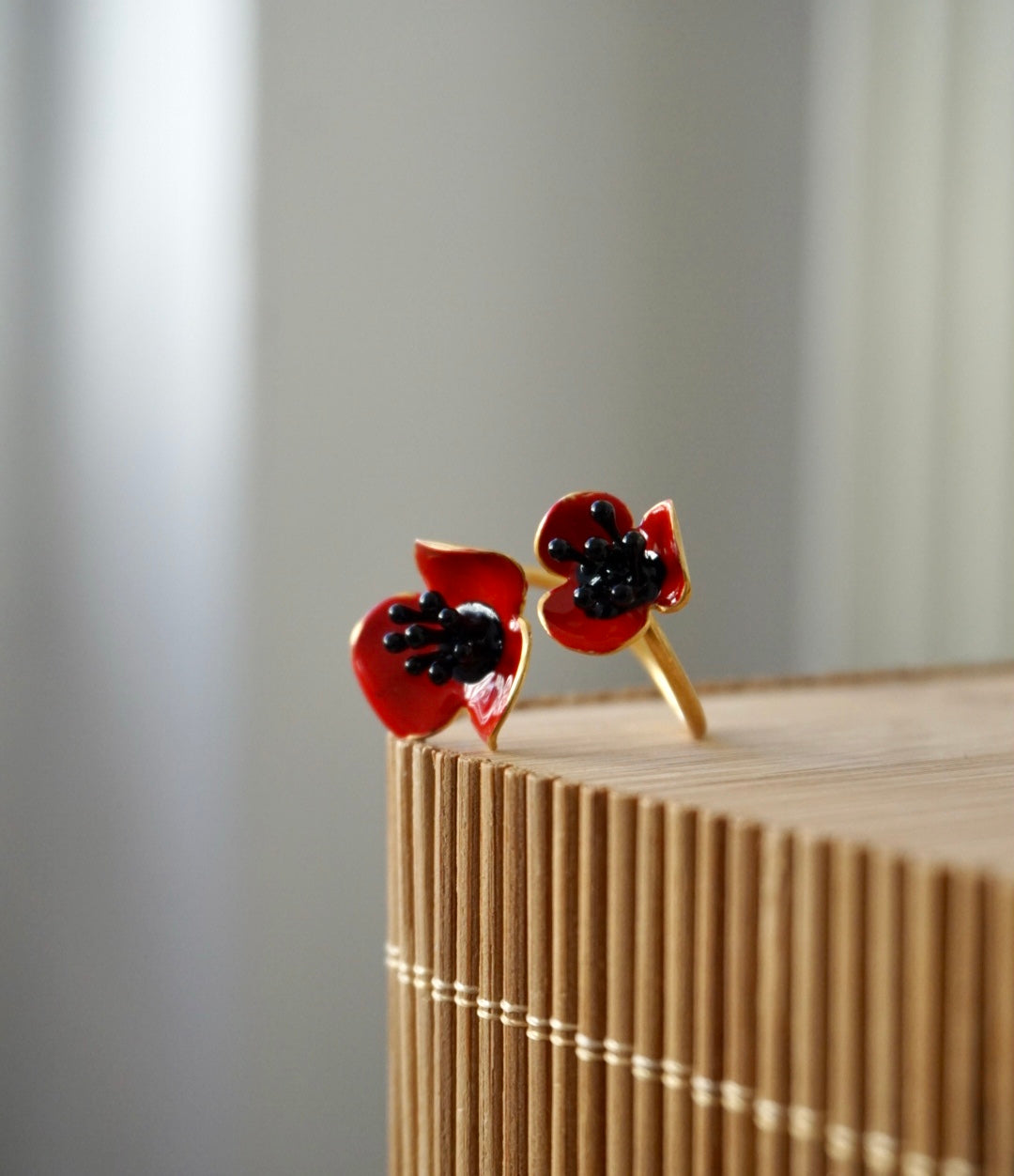 Anello Doppio