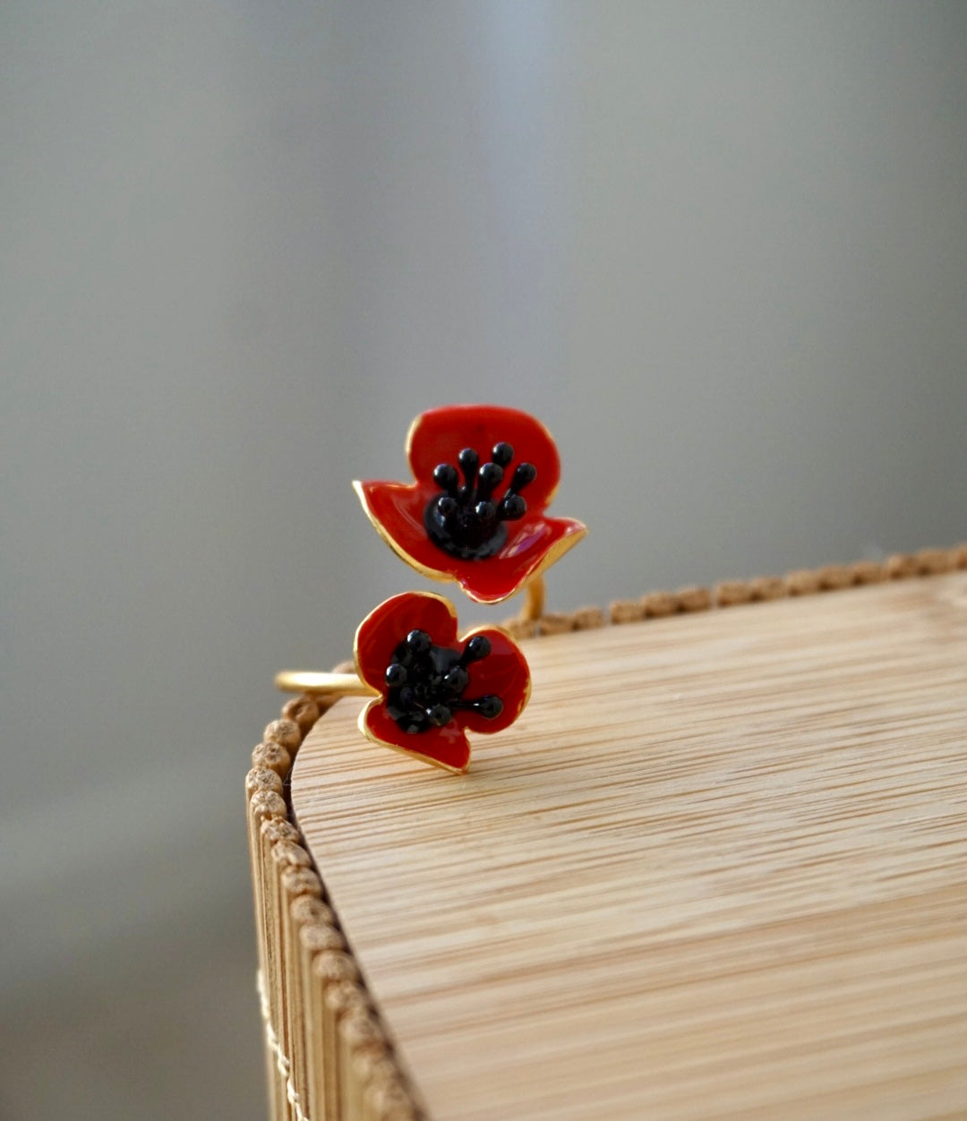 Anello Doppio