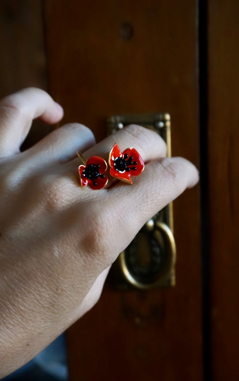 Anello Doppio
