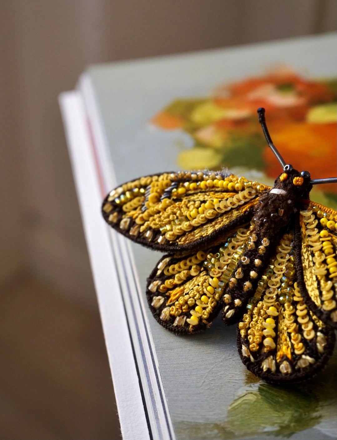 Farfalla Acraea Issoria