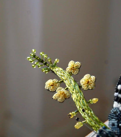 Farfalla Papilio Machaon