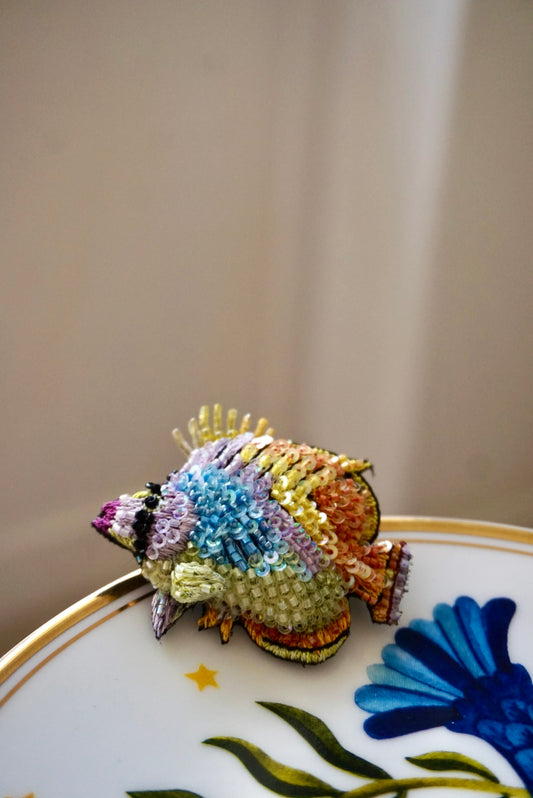 Pesce Farfalla