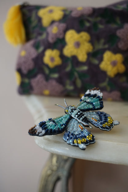 Papilio Laglaizei