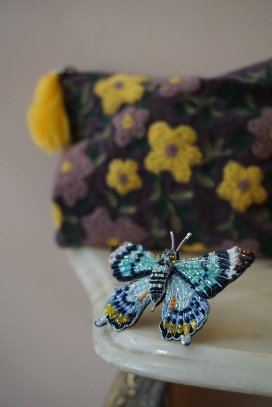 Papilio Laglaizei