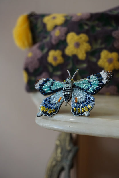 Papilio Laglaizei