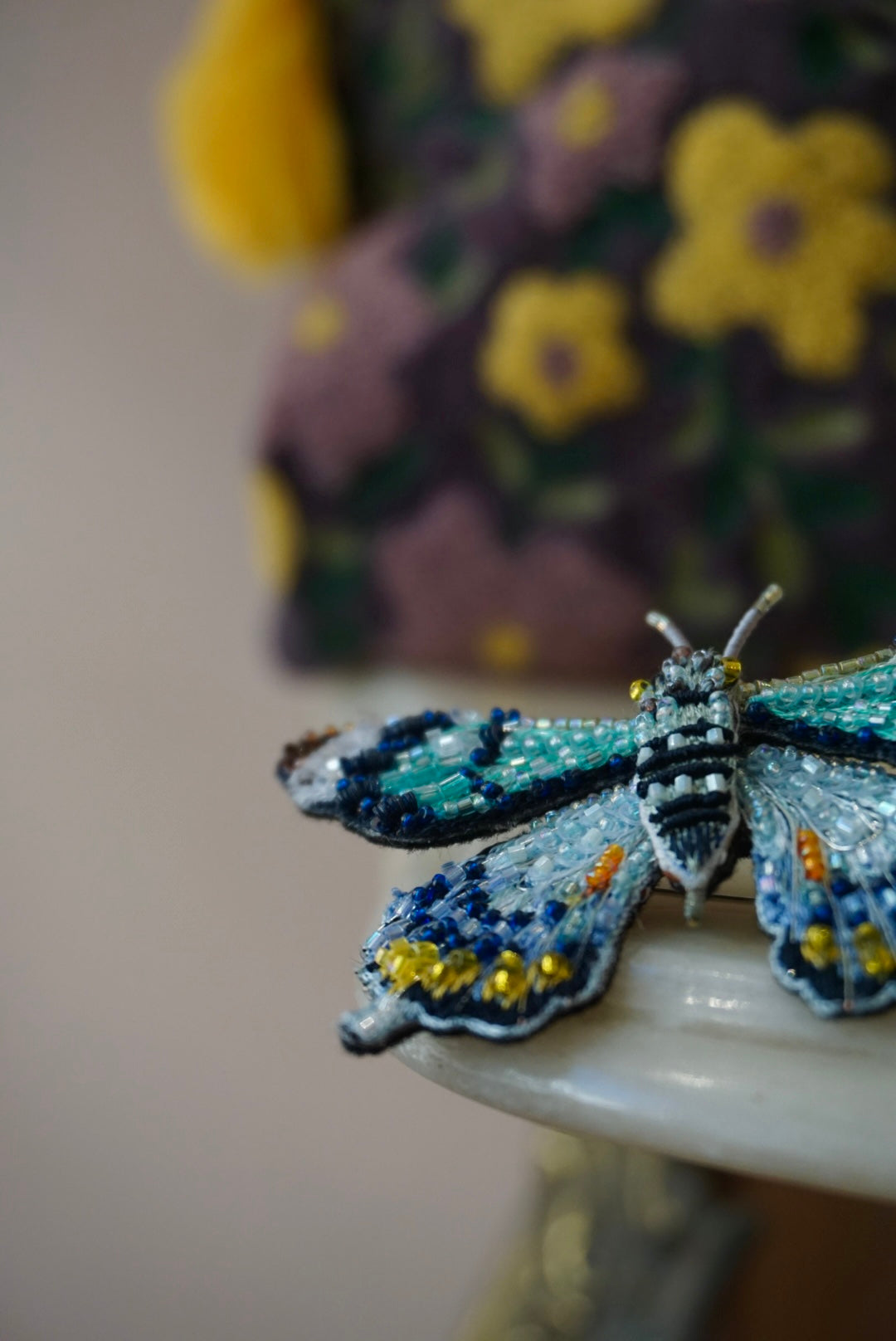 Papilio Laglaizei