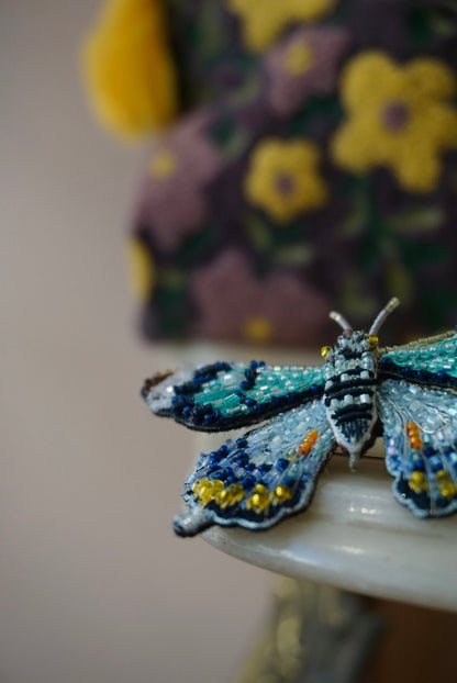 Papilio Laglaizei