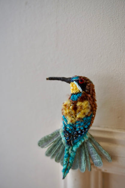 Merops Apiaster