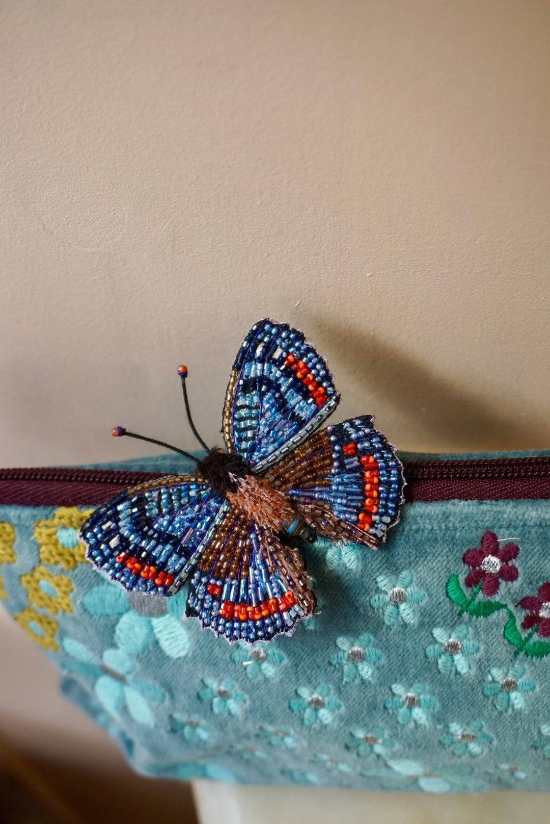Limenitis Arthemis