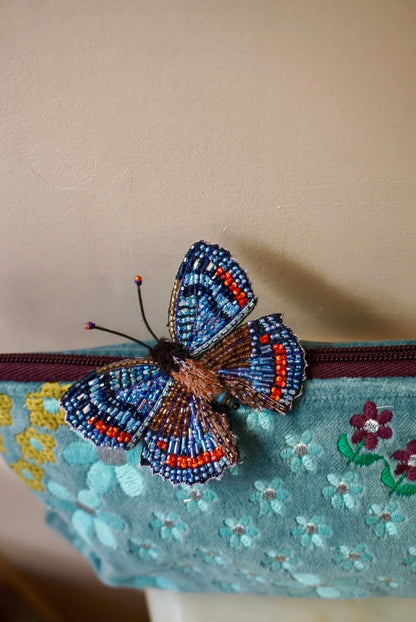 Limenitis Arthemis