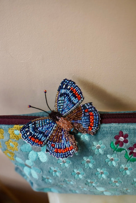 Limenitis Arthemis