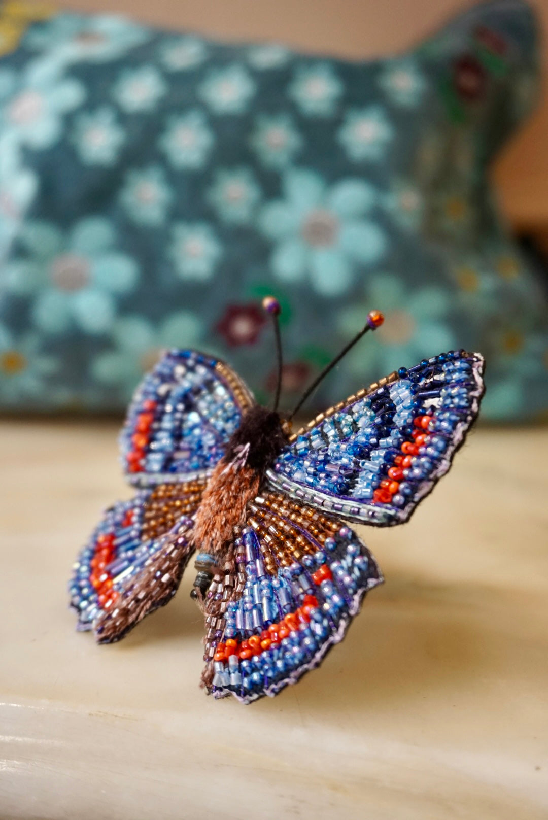 Limenitis Arthemis