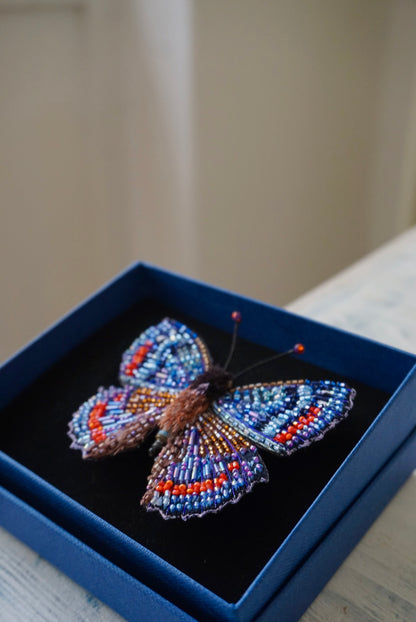 Limenitis Arthemis