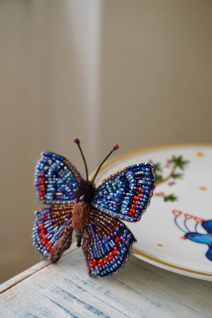 Limenitis Arthemis