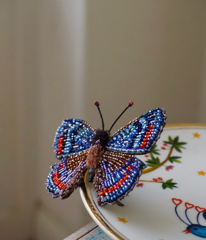Limenitis Arthemis