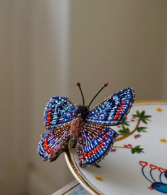 Limenitis Arthemis
