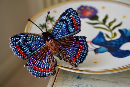 Limenitis Arthemis