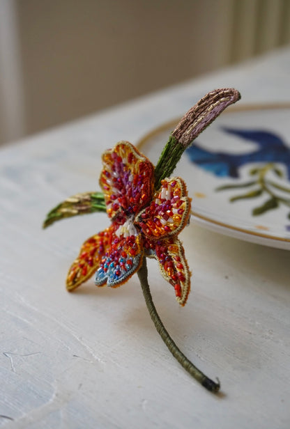 Regina delle Orchidee