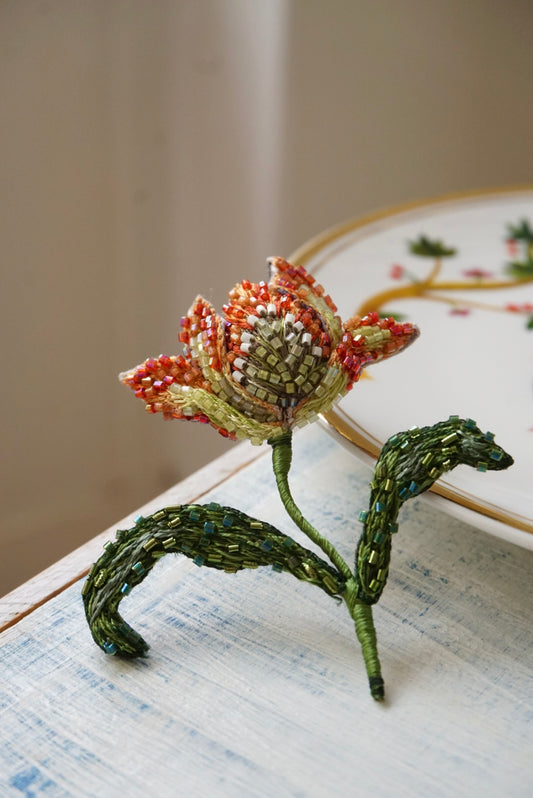 Tulipano
