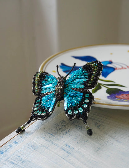 Papilio Lorquinianus