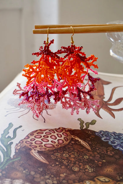 Coralli Rosso Arancio e Rosa Big