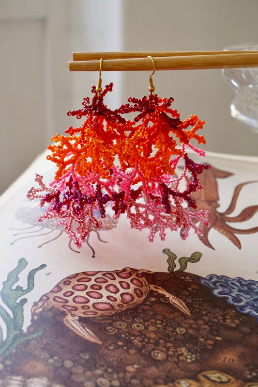 Coralli Rosso Arancio e Rosa Big
