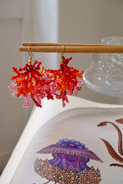 Coralli Rosso Arancio e Rosa Small